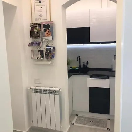 Victoria Luxury 11 דירה בוקרשט