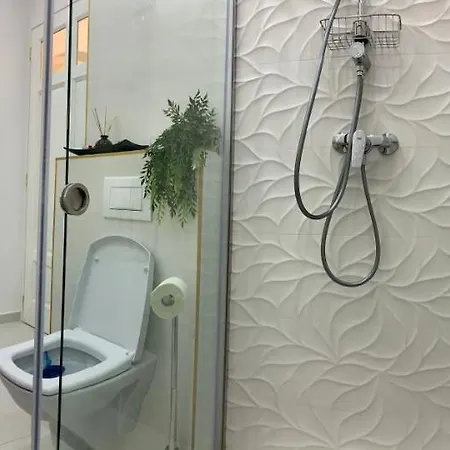 Victoria Luxury 11 * Bucharest